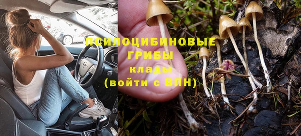 шишки Волоколамск